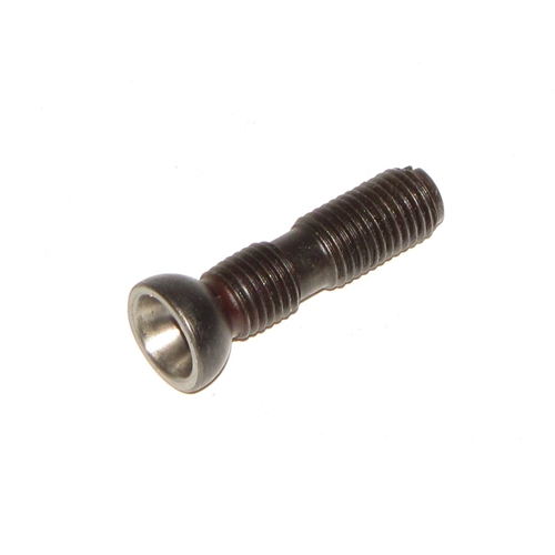 Rocker Arm Adjusting Screw