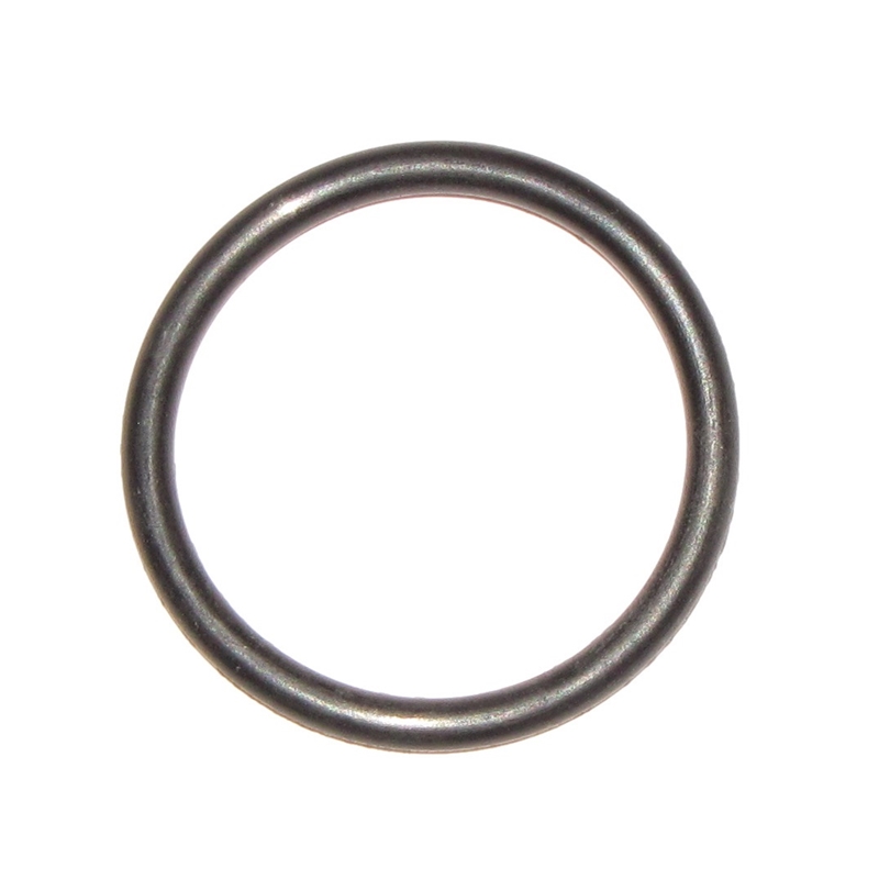 O-Ring Jet Cover Plate Zenith 32NDIX