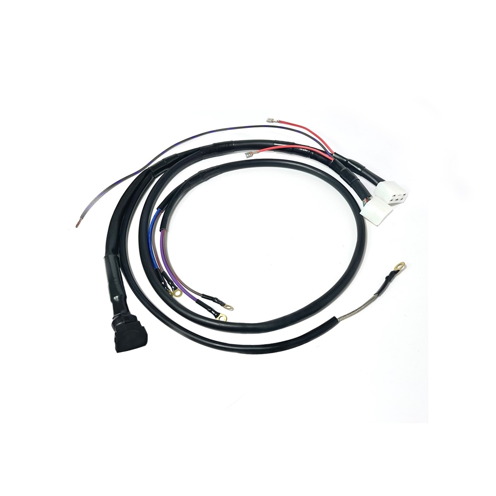 6 Pin TWIN plug CDI Harness, No Green Wire