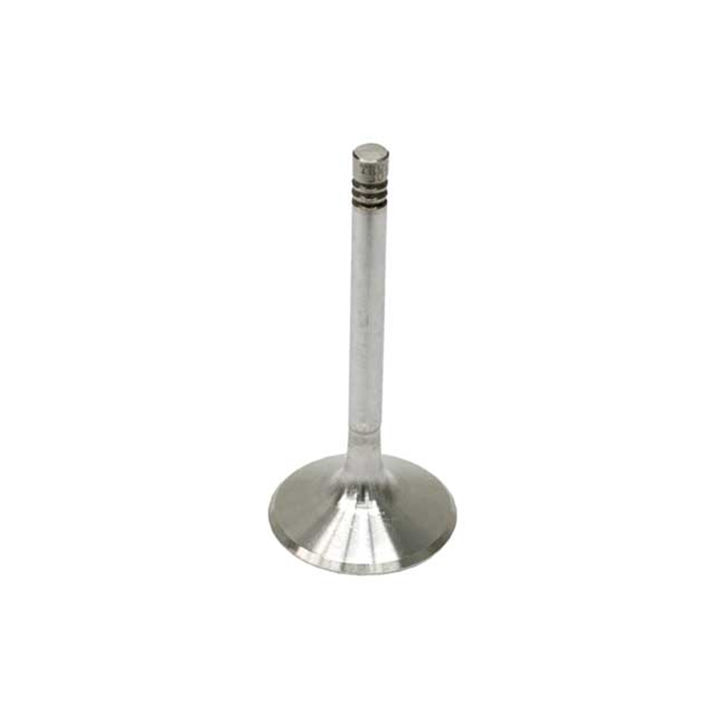 Intake Valve, 1978-89, TRW