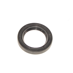 Radial shaft Seal