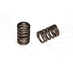 valve-spring-356912  61610543203