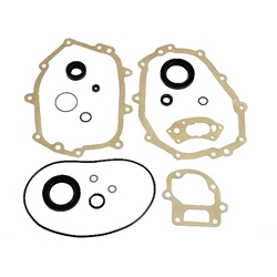 Transaxle Gasket Set, 915 transaxles