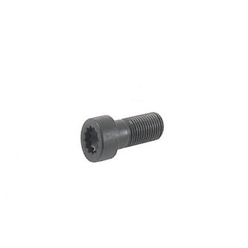 Flywheel Bolt