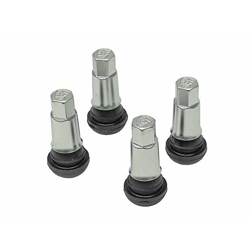 Tire Valve Stem Set